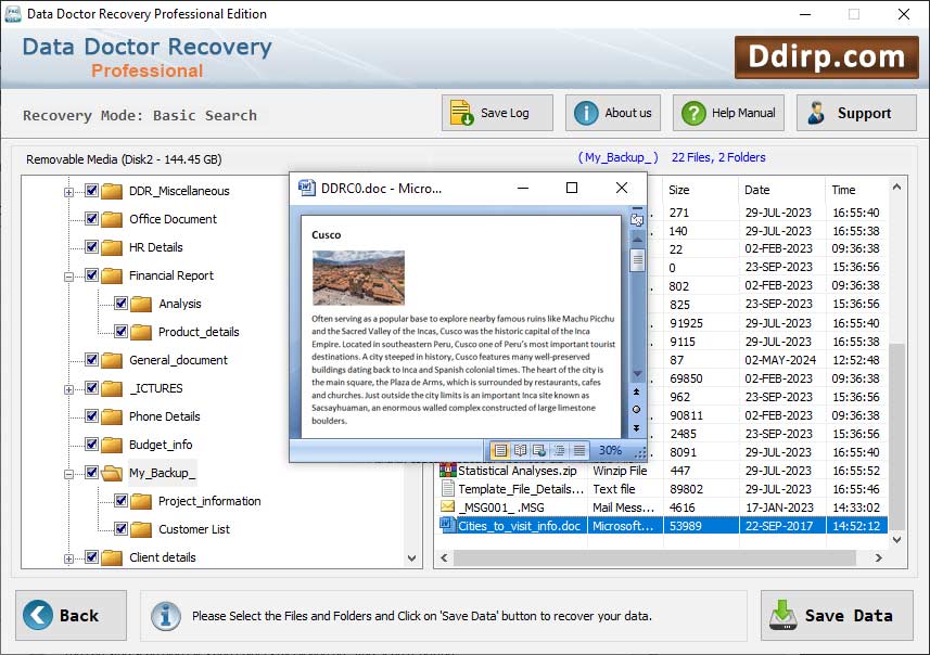 DDR Professional Data Recovery