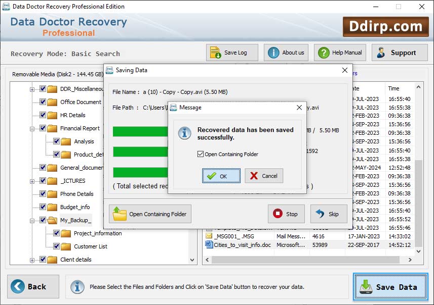 DDR Professional Recovery Software